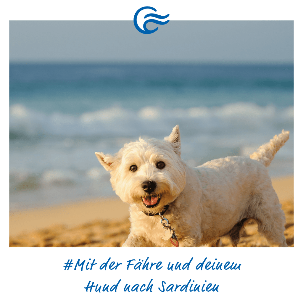 Fähre nach Sardinien mit Hund