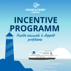 Incentive Programm Incentive Programm